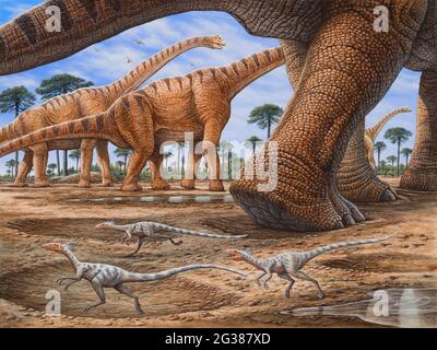 I piccoli dinosauri Compsognathus cercano di evitare di essere calpestati da una mandria di Brachiosauro che passa. Foto Stock