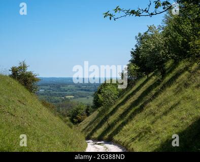 Vista dal basso dal sentiero collinare a Blackcap vicino Lewes in East Sussex, Regno Unito. Foto Stock