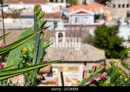 Quartiere di Anafiotika, sotto l'Acropoli, fotografia di strada, Atene, Grecia. Foto Stock