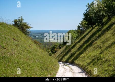 Vista dal basso dal sentiero collinare a Blackcap vicino Lewes in East Sussex, Regno Unito. Foto Stock