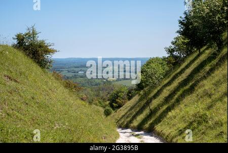 Vista dal basso dal sentiero collinare a Blackcap vicino Lewes in East Sussex, Regno Unito. Foto Stock