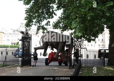 100 sculture di elefanti che hanno richiesto 5 anni sono state trasportate ai parchi di Londra - qui si arriva al St James's Park Foto Stock