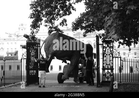 100 sculture di elefanti che hanno richiesto 5 anni sono state trasportate ai parchi di Londra - qui si arriva al St James's Park Foto Stock