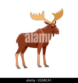 Moose o Elk, Alces. Bellissimo animale nell'habitat naturale. Scena della fauna selvatica. Illustrazione piatta del vettore di caratteri del cartone animato isolata su un bianco Illustrazione Vettoriale