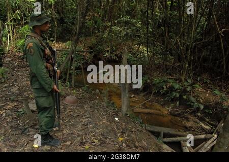 Operazioni militari dell'esercito venezuelano per combattere con i guerriglieri colombiani al confine. Foto Stock