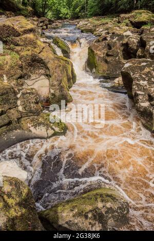 Il Bolton Strid: Il fiume più pericoloso del mondo? Foto Stock