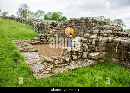 Resti di un segmento del Vallo di Adriano, l'antico muro di confine romano attraverso il nord dell'Inghilterra presso la cosiddetta torretta dei carri neri. Il sentiero del Vallo di Adriano, uno dei percorsi escursionistici più popolari d'Inghilterra, si snoda lungo il Vallo tra Newcastle e il Solway Firth. Foto Stock