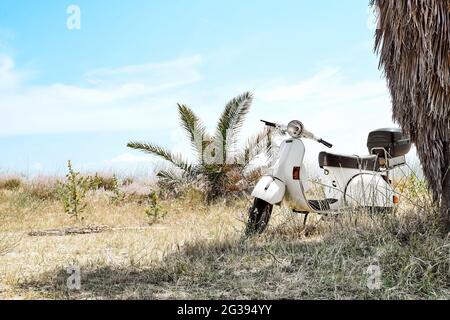 Messina, Sicilia, Italia - Giugno 13 2021: L'iconico scooter italiano vespa parcheggiato sulla spiaggia di sabbia sotto una palma. Motore bianco vintage retro Foto Stock