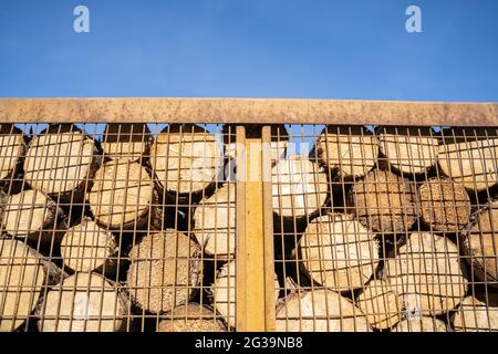 Tronchi di legno non trattati giacciono l'uno sopra l'altro in un contenitore di metallo all'esterno Foto Stock