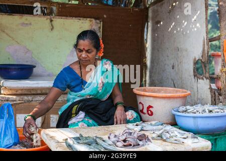 Donna indiana pescatrice che vende pesce sul mercato, Agonda, Goa, India Foto Stock