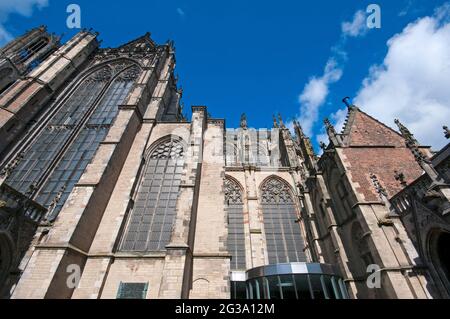 La Domkerk (Cattedrale di San Martino) a Utrecht, Paesi Bassi Foto Stock