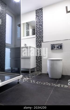 Immagine verticale di un moderno bagno in bianco e grigio con cabina doccia Foto Stock