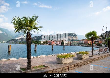 Nago Torbole, Italia. 14 Giugno 2021. Le palme si ergono sul lungomare di fronte al paesaggio del porto. Monte Brione si vede sullo sfondo. Credit: Daniel Reinhardt/dpa/Alamy Live News Foto Stock