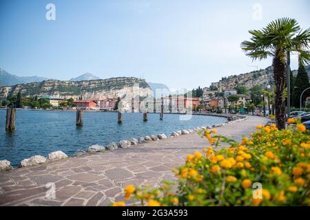 Nago Torbole, Italia. 14 Giugno 2021. I delfini si trovano nel porto del villaggio sul Lago di Garda. Sullo sfondo si può vedere il Monte Brione. Credit: Daniel Reinhardt/dpa/Alamy Live News Foto Stock