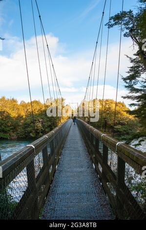 Ponte sospeso Rainbow Reach, Kepler Track, te Anau, Fiordland, Nuova Zelanda. Foto Stock