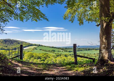Vista sul South Downs National Park, Cocking, West Sussex, Inghilterra. Foto Stock