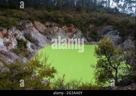 Devil's Bath, Wai-o-Tapu Thermal Wonderland, Rotorua, Nuova Zelanda. Piscina verde al neon circondata da un colorato cratere vulcanico Foto Stock