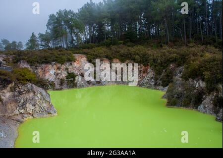 Devil's Bath, Wai-o-Tapu Thermal Wonderland, Rotorua, Nuova Zelanda. Piscina verde al neon circondata da un colorato cratere vulcanico Foto Stock