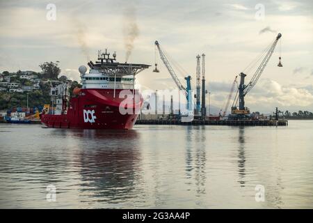 Porto di Nelson, Nuova Zelanda Foto Stock