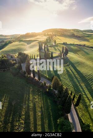 Vista aerea dell'iconica strada dei cipressi di Monticchiello all'alba. Pienza, Valle d'Orcia, Siena, Toscana, Italia, Europa. Foto Stock