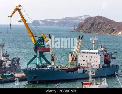 Le navi al molo, gru portuali sul porto commerciale Petropavlovsk-Kamchatsky City sulla riva della baia di Avacha nell'Oceano Pacifico. Foto Stock