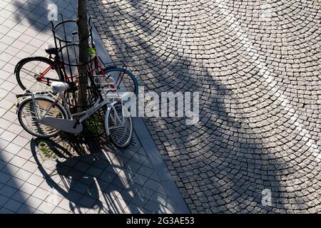 Due biciclette parcheggiate contro una recinzione intorno ad un albero in una strada acciottolata con lunghe ombre di alberi e le biciclette. Spazio di copia Foto Stock