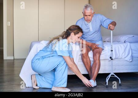 L'infermiere geriatrico aiuta l'anziano con l'aiuto di camminare per mettere sulle scarpe in una casa di cura o in un ospedale Foto Stock