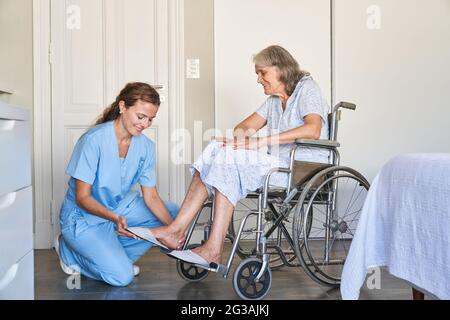 L'assistente anziano aiuta la donna anziana in una sedia a rotelle a indossare e togliere le scarpe Foto Stock