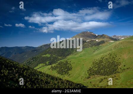 Valle di Setúria e la Bassera picco in primavera, visto dalla strada del passo del Port de Cabús (Andorra, Pirenei) Foto Stock