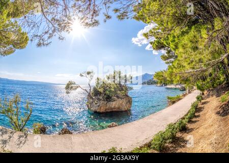 Famosa spiaggia di Punta rata con mare azzurro a Brela, Dalmazia, Croazia Foto Stock