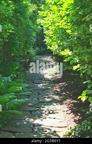 Il giardino di campagna pieno di verde lussureggiante fogliame in estate. Foto Stock