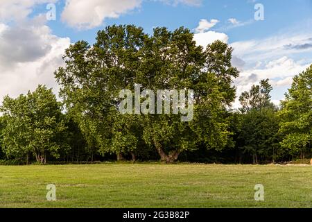 Proprietà della famiglia Zornitza. Lozenitsa, Sandanski, Bulgaria Foto Stock