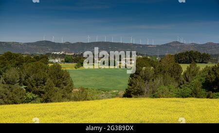 Campi verdi in primavera nella conca d'Òdena, vicino alla città di Igualada (Barcellona, Catalogna, Spagna) ESP: Campos verdes en primavera en Igualada España Foto Stock