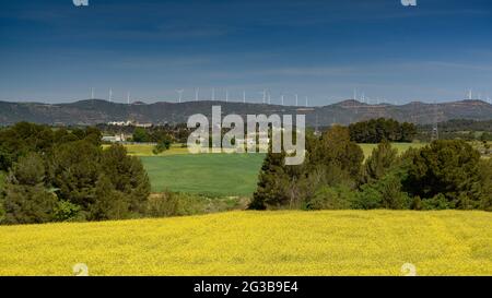 Campi verdi in primavera nella conca d'Òdena, vicino alla città di Igualada (Barcellona, Catalogna, Spagna) ESP: Campos verdes en primavera en Igualada España Foto Stock