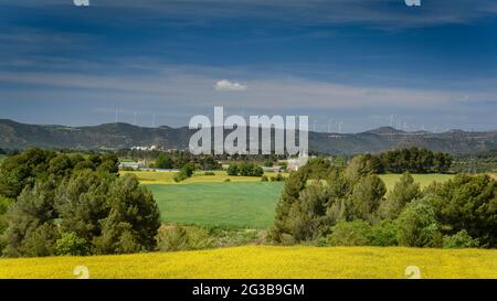 Campi verdi in primavera nella conca d'Òdena, vicino alla città di Igualada (Barcellona, Catalogna, Spagna) ESP: Campos verdes en primavera en Igualada España Foto Stock