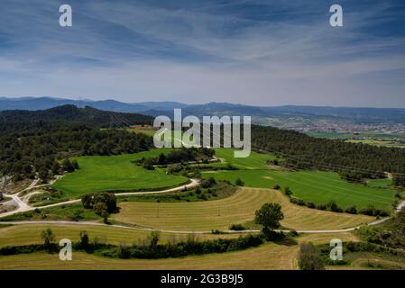 Campi verdi in primavera nella conca d'Òdena, vicino al castello di Castellolí (Barcellona, Catalogna, Spagna) ESP: Campos verdes en primavera (Cataluña) Foto Stock