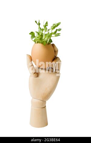 Micrograni in legno isolati a mano su bianco con percorso di ritaglio. Micro verdi in vendita. Vitamine dalla natura. Vegan e sano superfood consegna ser Foto Stock