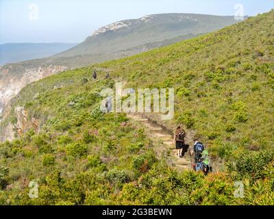 Spargete gli escursionisti in una prova, tagliando attraverso i fynbos, in estate lungo il giardino Route National Park del Sud Africa Foto Stock