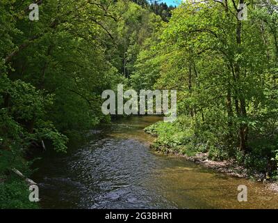 Splendida vista sull'idilliaca Gola di Wutach ('Wutachschlucht'), Foresta Nera, Germania con fiume fluente e fitta vegetazione verde di piante e alberi. Foto Stock