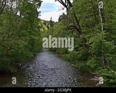 Vista dell'idilliaca Gola di Wutach ('Wutachschlucht'), una popolare destinazione turistica nella Foresta Nera, in Germania, con il fiume che scorre circondato da una fitta foresta. Foto Stock