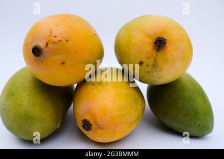 Deliziosa e fresca varietà Kesar Mango dall'India, coltivata nel Gujarat distretto di Gir. Sapore aromatico manganes organici. Stagione estiva speciale Mango frutta Foto Stock