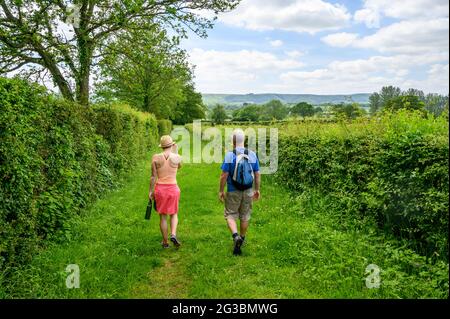 Una donna e un maschio rambler che camminano su un sentiero pubblico erboso tra Plumpton Green e South Chailey nel Sussex orientale, Inghilterra. Foto Stock