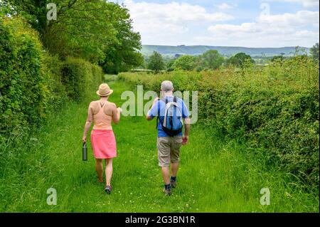 Una donna e un maschio rambler che camminano su un sentiero pubblico erboso tra Plumpton Green e South Chailey nel Sussex orientale, Inghilterra. Foto Stock