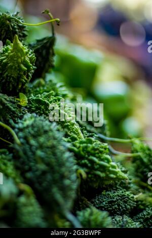 Cumulo di zucca amara fresca cruda sul mercato Foto Stock