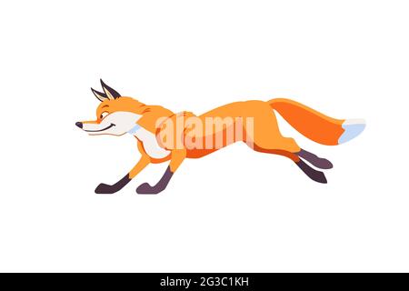 La volpe di Cartoon salta e corre. Emozioni allegre, festose e giubilanti nella volpe. Illustrazione vettoriale isolata su sfondo bianco Illustrazione Vettoriale
