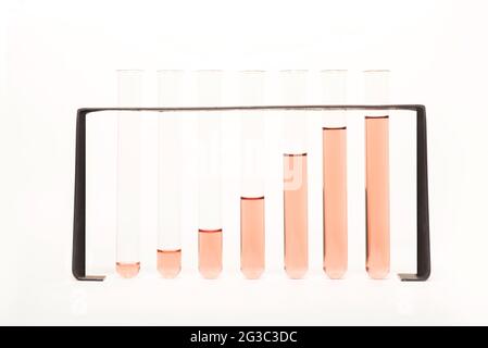 Provette in un rack. Rappresentazione grafica di un grafico a barre, statistiche, dati scientifici, medici, biologici, laboratorio biomedico. Foto Stock