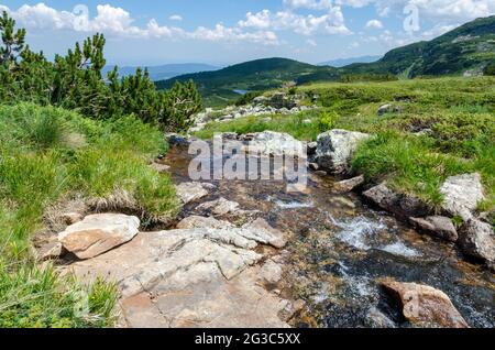 Ruscello di montagna nella montagna di Rila vicino ai sette laghi di Rila, Bulgaria. Foto Stock