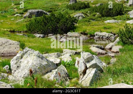 Una piccola sorgente nelle montagne di Rila, Bulgaria, circondata da grandi pietre bianche e erba verde. Foto Stock