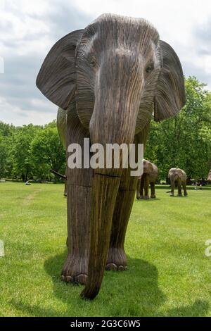 Londra, Regno Unito. 15 giugno 2021. Uno degli elefanti Lantana coesistenza in Green Park a Londra. Coesistenza in Green Park e St James's Park è una mostra di arte ambientale con 100 elefanti lantana a grandezza naturale che mira a far luce sul crescente invadimento degli esseri umani nei luoghi selvaggi. Credit: SOPA Images Limited/Alamy Live News Foto Stock