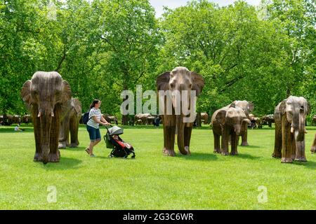 Londra, Regno Unito. 15 giugno 2021. Una donna che spinge un passeggino passa accanto agli elefanti Lantana coesistenza nel Green Park di Londra. La coesistenza nel Green Park e nel St James's Park è una mostra d'arte ambientale con 100 elefanti lantana a grandezza naturale che mira a far luce sul crescente invadimento degli esseri umani nei luoghi selvatici. Credit: SOPA Images Limited/Alamy Live News Foto Stock